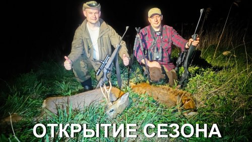 Охота на косулю 2025