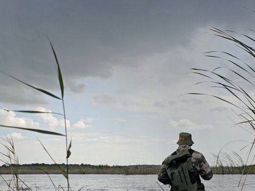Проверено - воды много, утки много