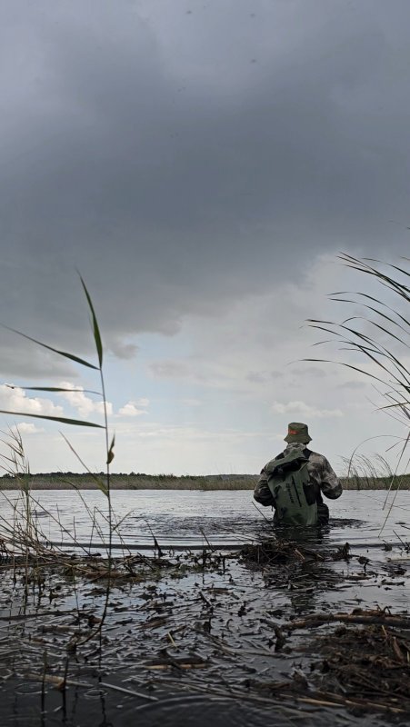 Проверено - воды много, утки много