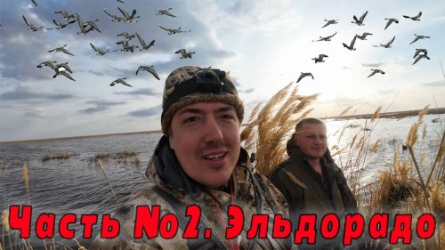 Гусиное эльдорадо. Лучшая охота на гуся. часть 2