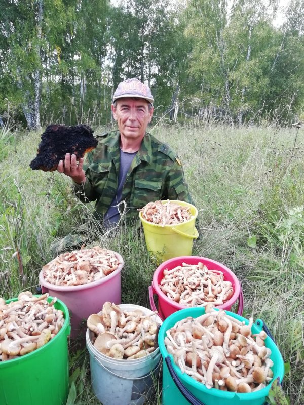 Тихая охота!