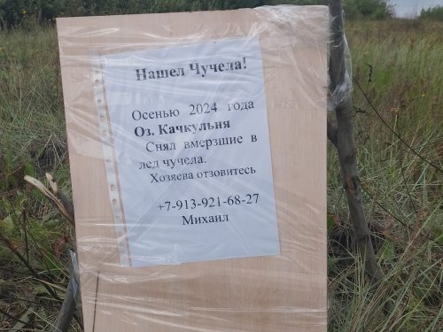 Чьи чучела ?