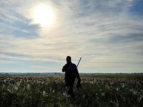 С полем 25&#039;!