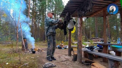 100 ЧАСОВ В ТАЙГЕ. ОХОТА НА РЯБЧИКОВ. ПОЗОРНОЕ БЕГСТВО