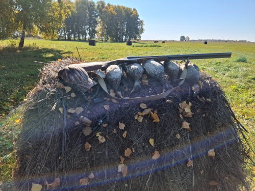 Результат утрянки