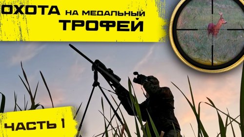 Охота на косулю с подхода. ВЗЯЛ МЕДАЛЬНЫЙ ТРОФЕЙ. 1 часть
