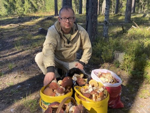 Чутка белых затрофеил