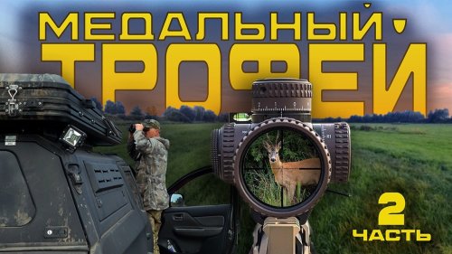 Охота на косулю с подхода во время гона. ВТОРОЙ МЕДАЛЬНЫЙ ТРОФЕЙ. 2 часть