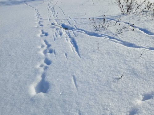 Зимние воспоминания