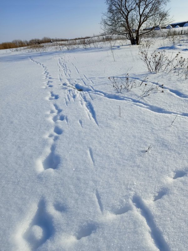 Зимние воспоминания