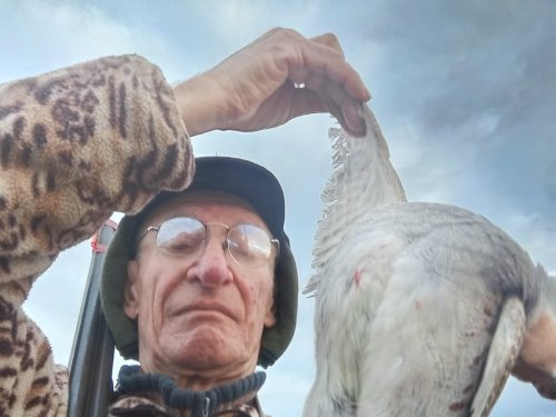 30.10.25.Ходовая.