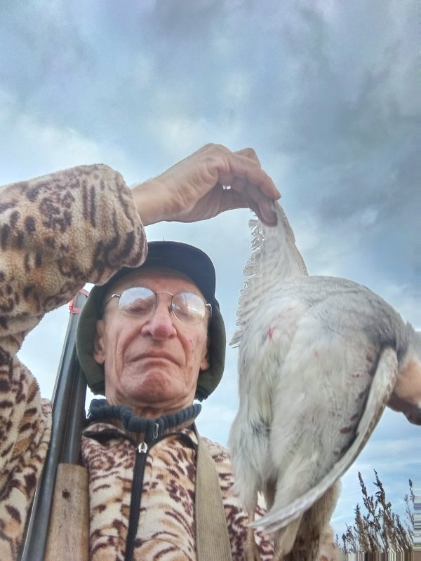 30.10.25.Ходовая.