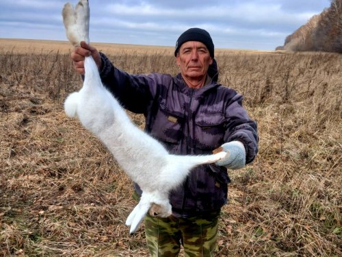 Всё об охоте и не только.