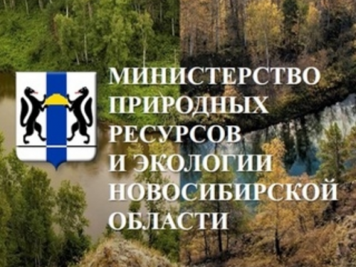 Жители Новосибирска столкнулись с техническими сбоями при подаче заявлений на охоту через Госуслуги