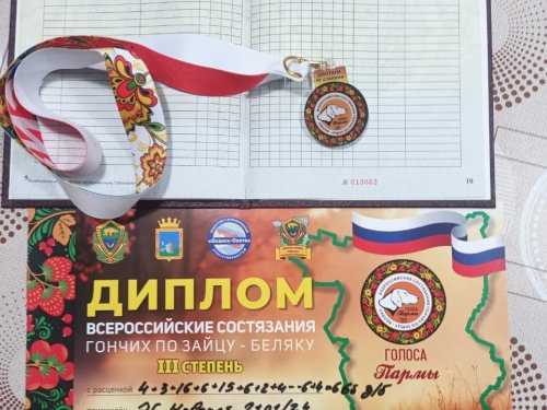 Всеросийские состязания по зайцу - беляку Парма 2025 год.