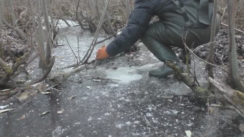 Когда дома не сидится.