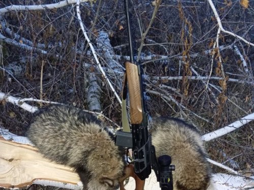 Охота с тепловизором