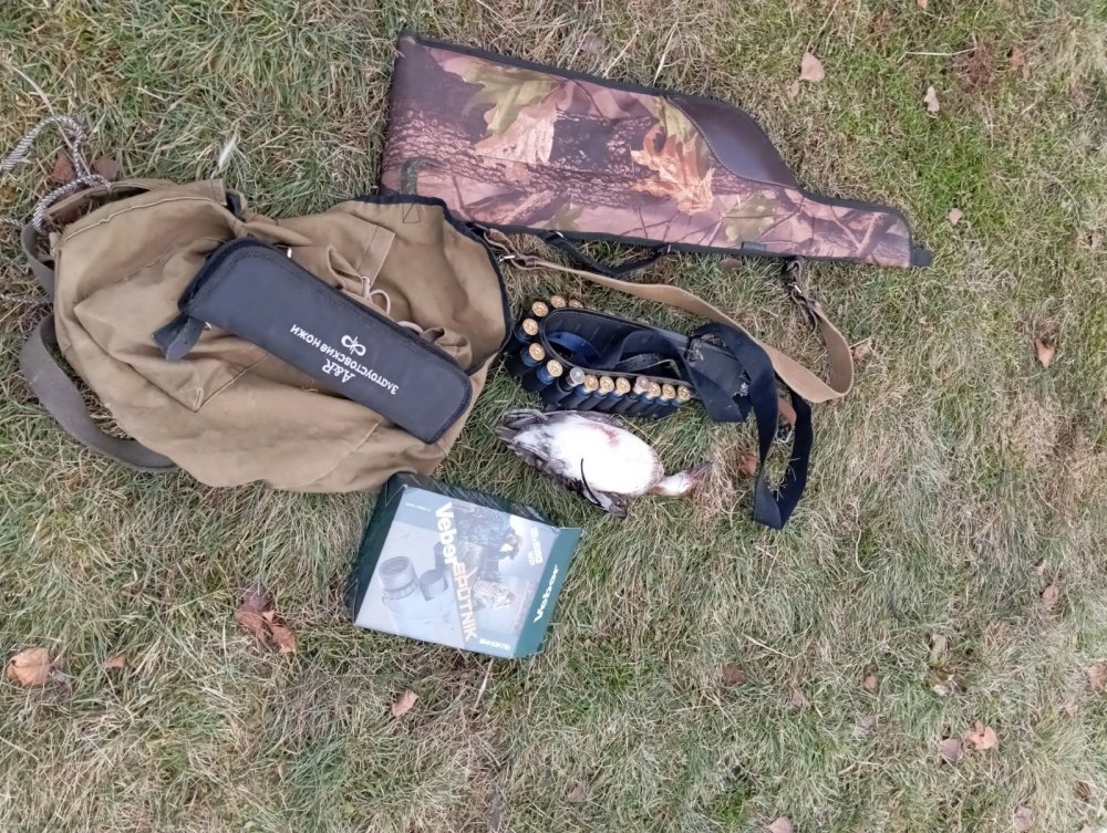 26 октября 2025г