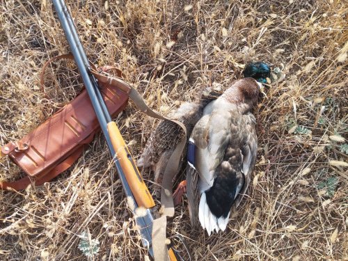 Крякаш, на обозрение)))