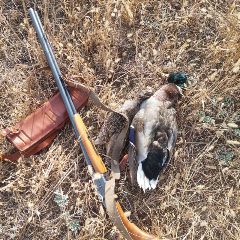 Крякаш, на обозрение)))