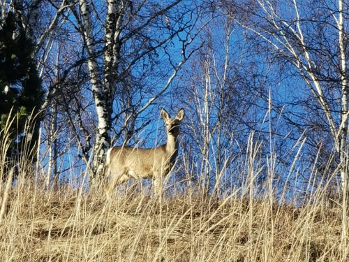 На южном склоне
