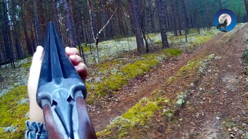 В КРАЮ ТАЁЖНОМ: С ГОРИЗОНТАЛКОЙ И МАНКОМ ПО РЯБЧИКУ. БОРОВАЯ 2025. ЧАСТЬ ПЕРВАЯ
