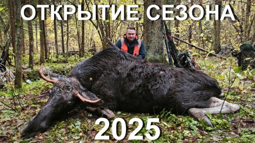 Открытие сезона загонных охот 2025