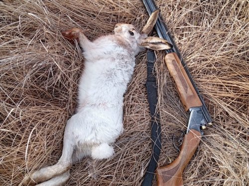 Третий, отпуск продолжается...