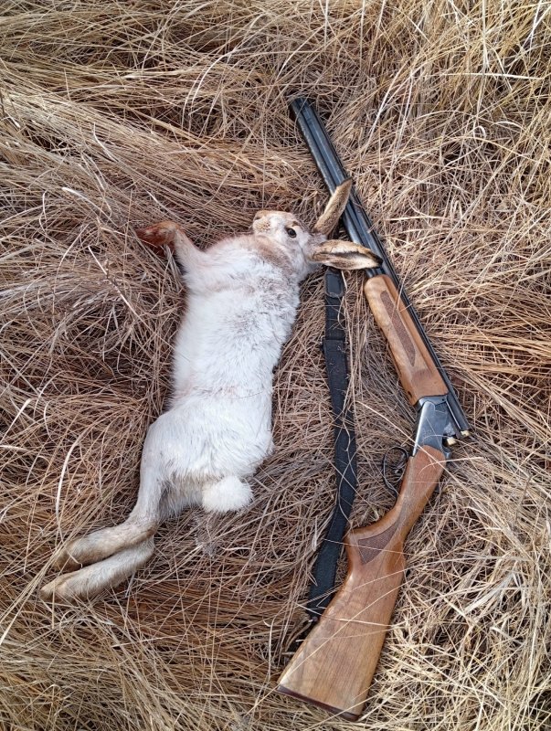 Третий, отпуск продолжается...