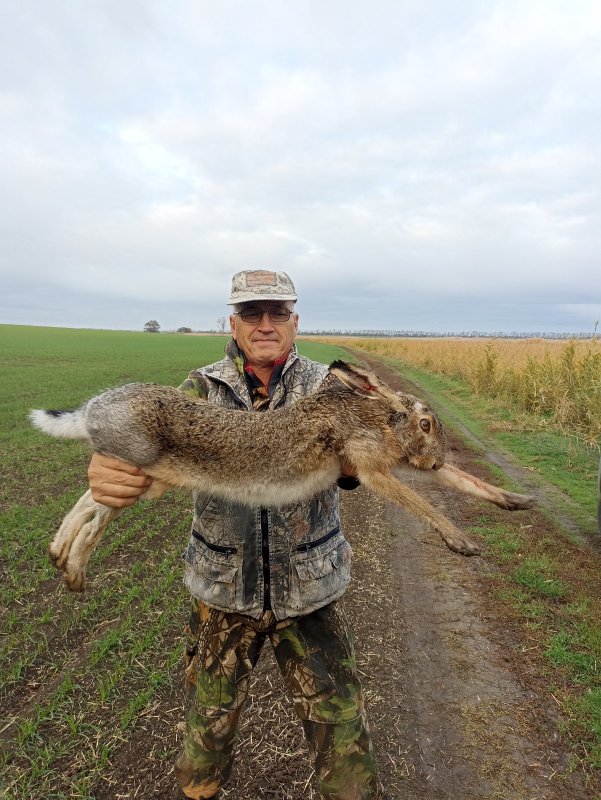 Петрович, вытяни руки, заяц поправится ))