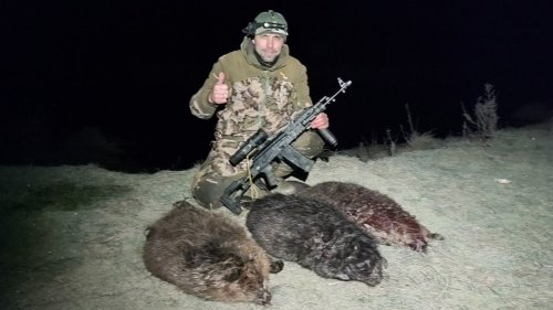 В погоне за ТРОФЕЙНЫМ бобром. Сайга МК 223 и Arkon Arma HR50L.Охота на бобра. Обработка трофея.