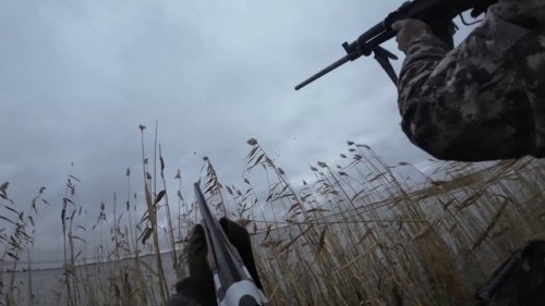 Утиная охота в ноябре