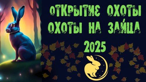 Открытие охоты на зайца-русака 2025