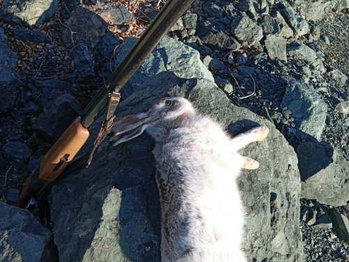 В последний день отпуска.