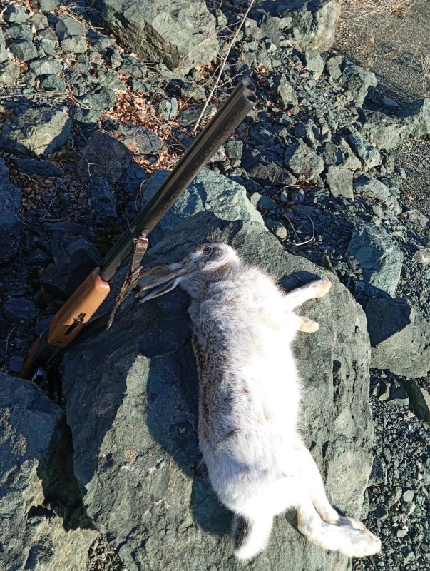 В последний день отпуска.