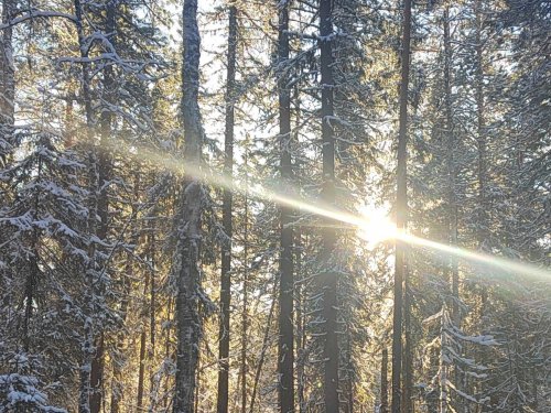 Солнце светит...