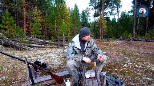 В КРАЮ ТАЁЖНОМ: ЗАБЛУДИЛСЯ. ГНУС ОДОЛЕВАЕТ. ГРУСТНАЯ СУББОТА. БОРОВАЯ 2025 ЧАСТЬ ВТОРАЯ