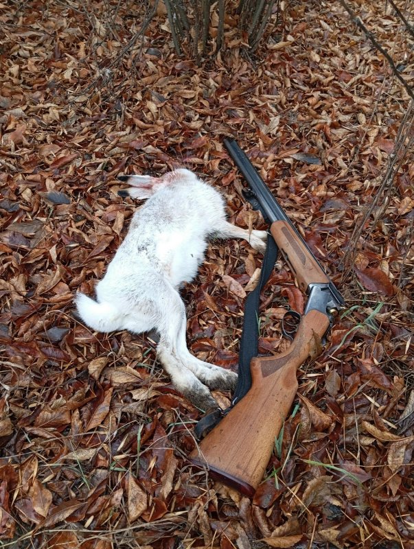 Добрал... дождь... туман....