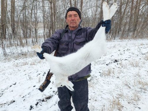 Матёрый трофей!