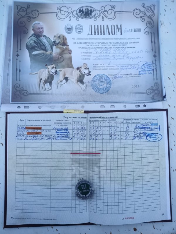 Состязания гончих в Башкирии