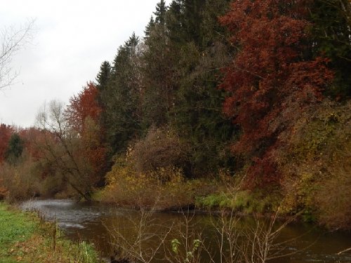 У дальнего кордона...