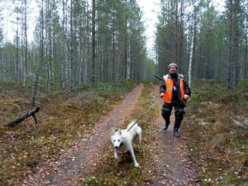 Лоси - мы к вам:)