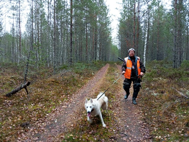 Лоси - мы к вам:)