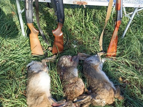 Открытие охоты