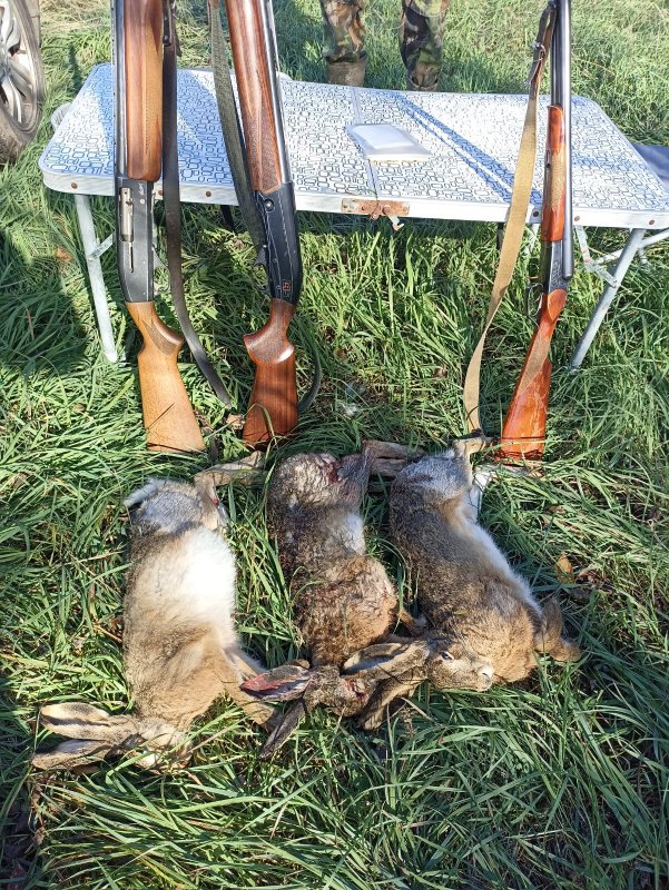 Открытие охоты