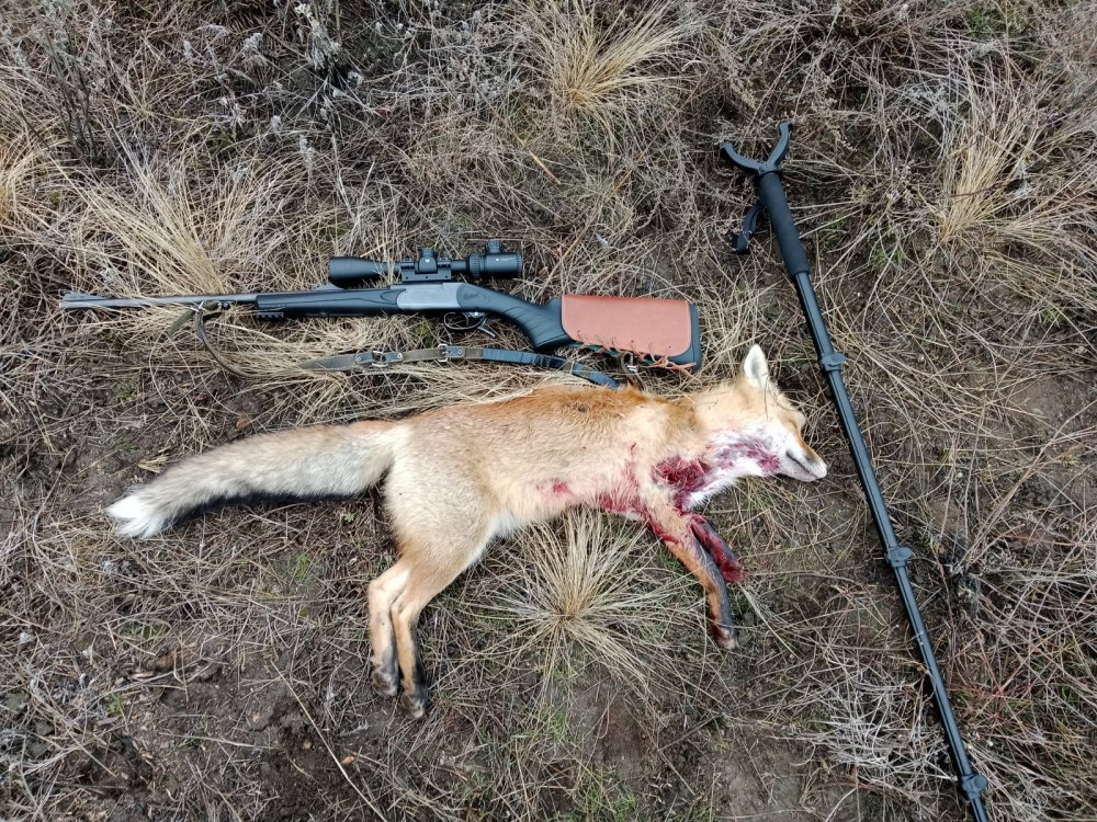 Субботний выезд