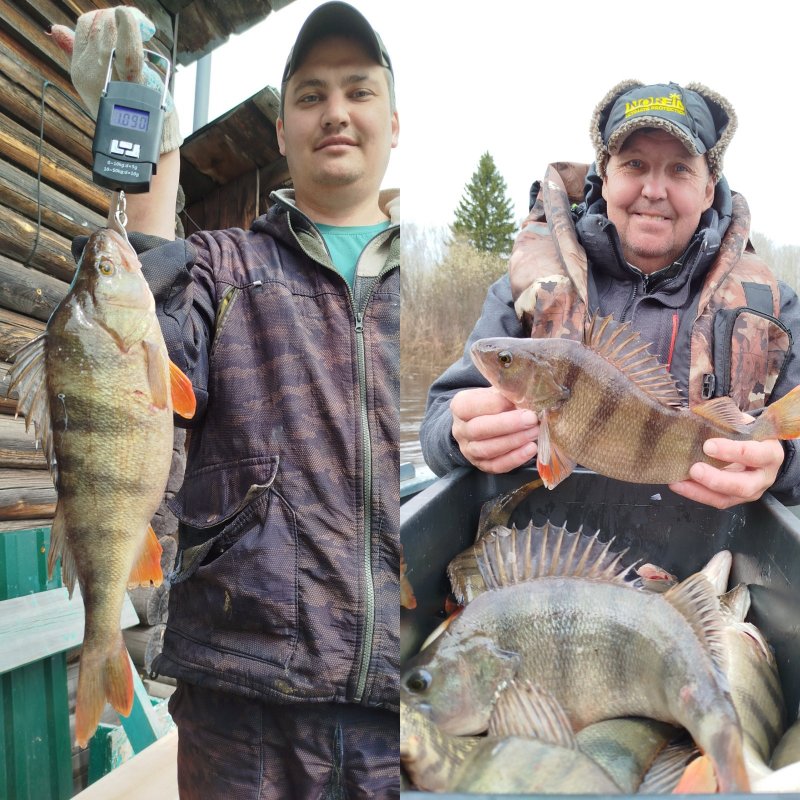 Ярцево, что на Енисее.