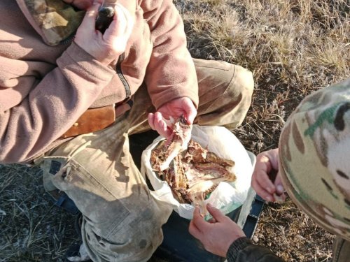 Из повседневности...))))))