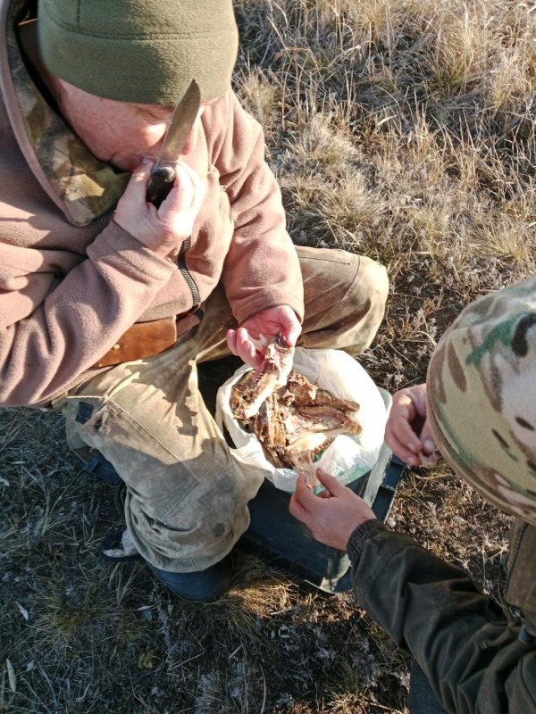 Из повседневности...))))))