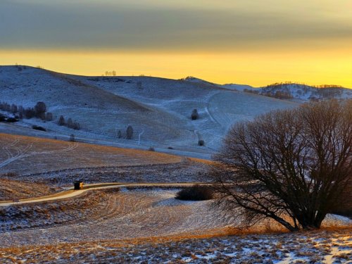 По дороге в угодья